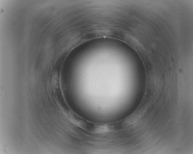 X0000065240083200602242035