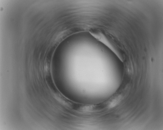 X0000065240084200602242035