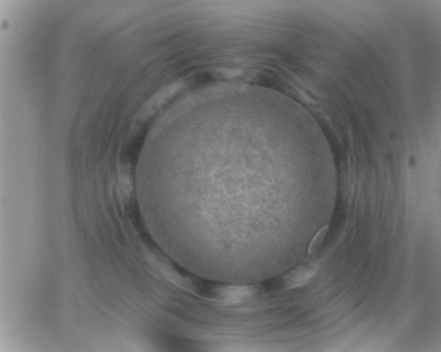 X0000065240085200602242035