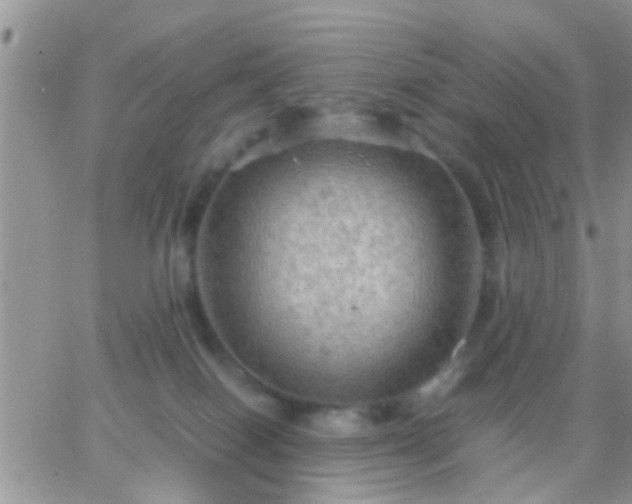 X0000065240086200602242035