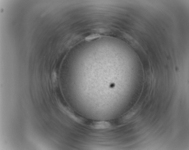 X0000065240087200602242035