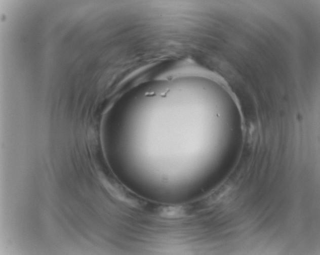 X0000065240088200602242035