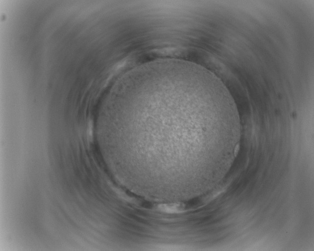 X0000065240089200602242035