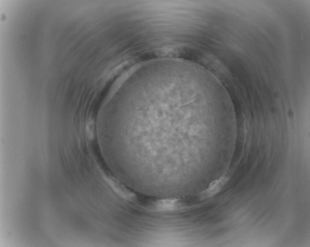 X0000065240090200602242035