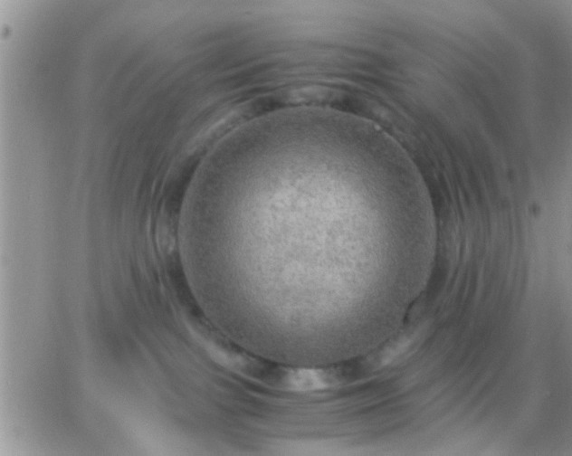 X0000065240091200602242035