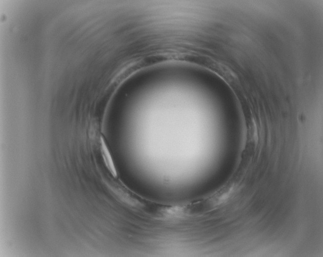 X0000065240092200602242035