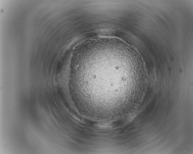 X0000065240093200602242035