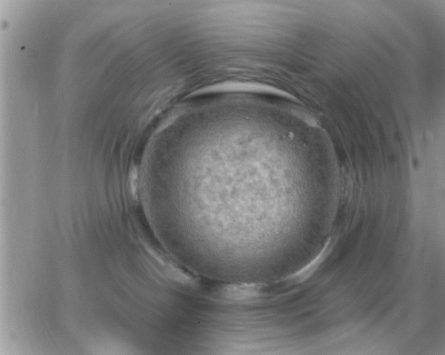 X0000065240094200602242035