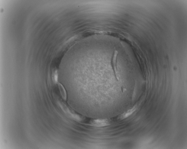 X0000065240095200602242035