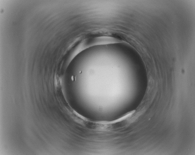 X0000065240096200602242035