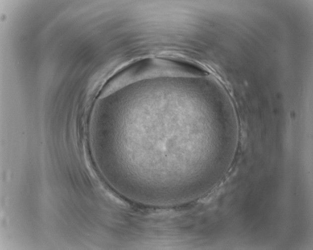 X0000065240097200602242035