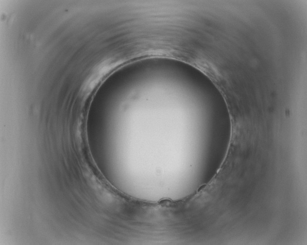 X0000065240098200602242035