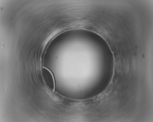 X0000065240100200602242035