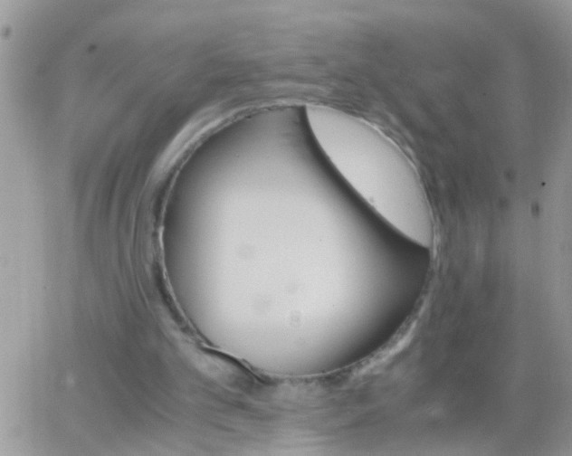 X0000065240101200602242035