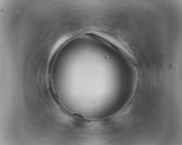 X0000065240102200602242035