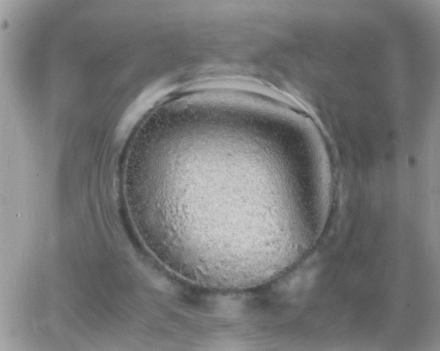 X0000065240103200602242034