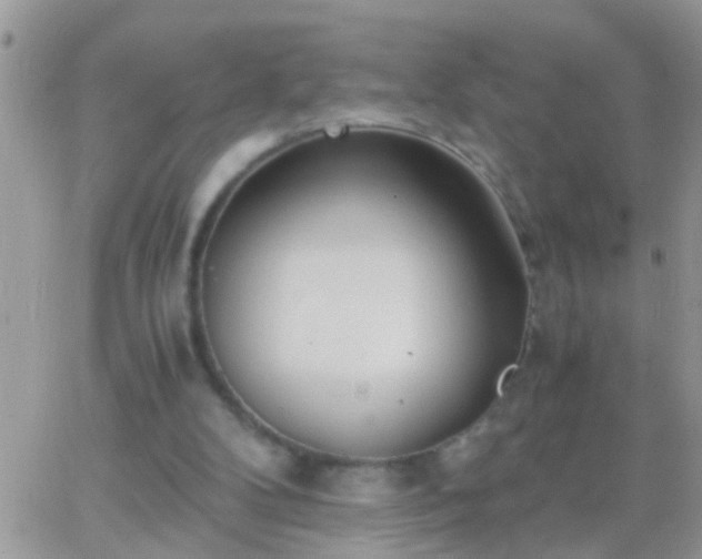 X0000065240104200602242034