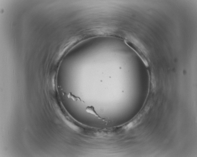 X0000065240105200602242034