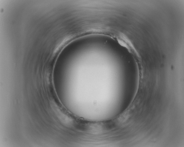 X0000065240106200602242034