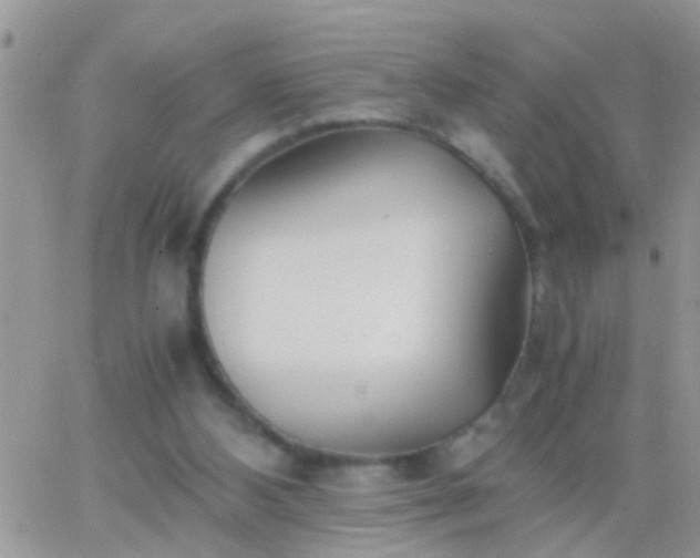 X0000065240108200602242034