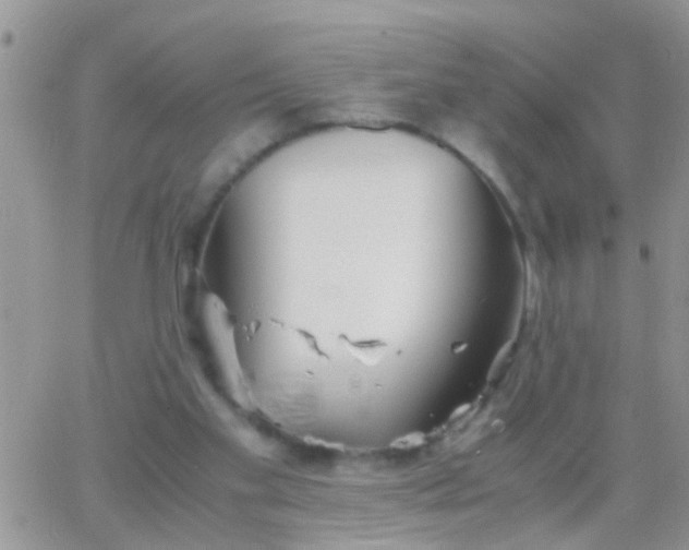 X0000065240109200602242034