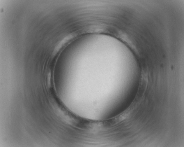 X0000065240110200602242034