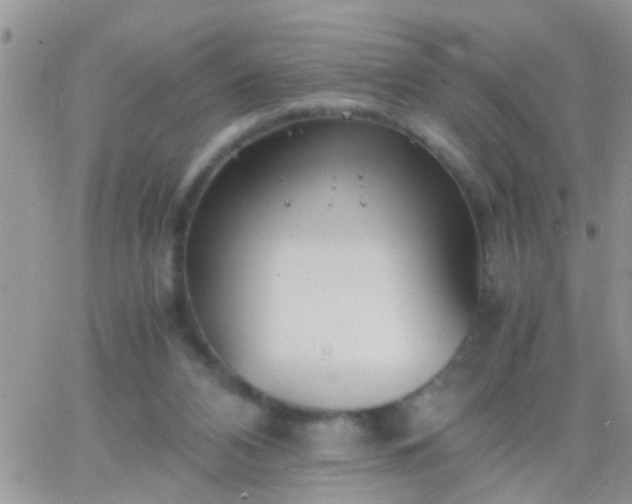 X0000065240112200602242034