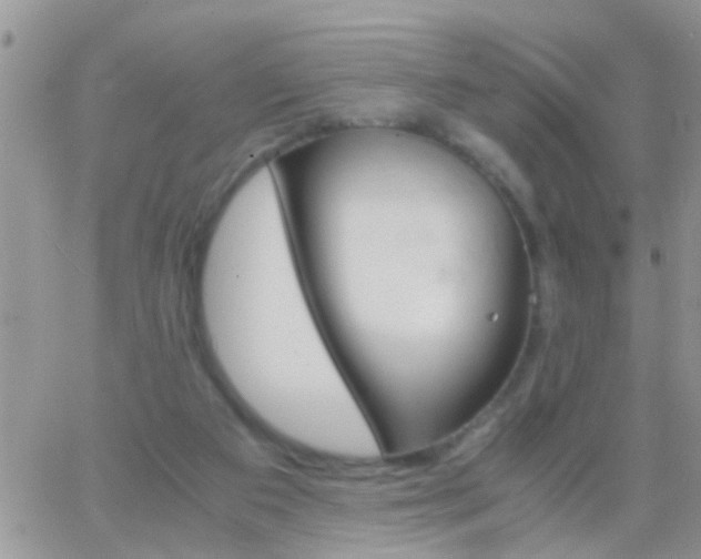 X0000065240113200602242034