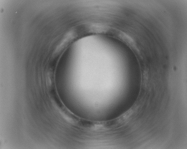 X0000065240114200602242034