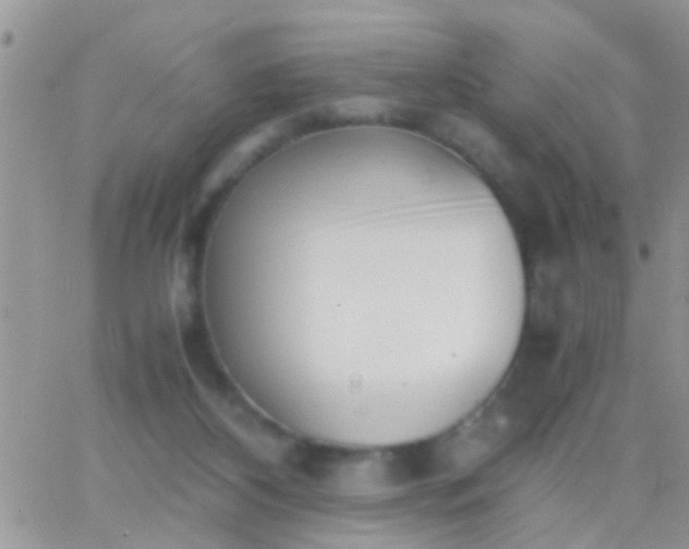 X0000065240116200602242034