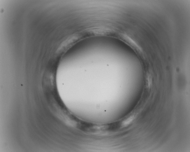 X0000065240117200602242034