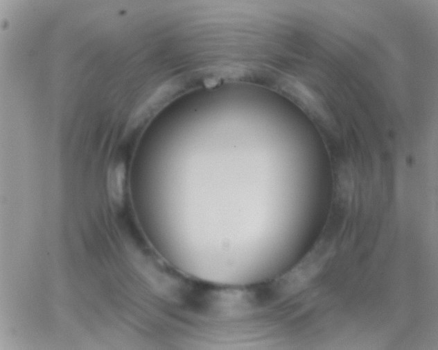 X0000065240118200602242034