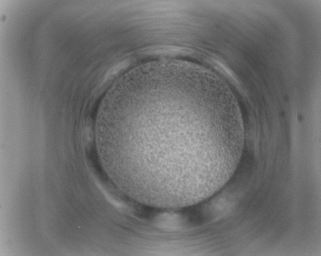 X0000065240119200602242034