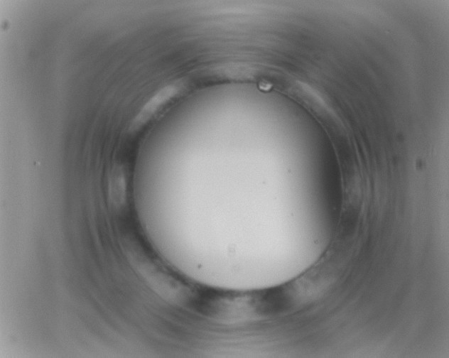 X0000065240120200602242034