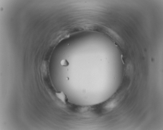 X0000065240121200602242034