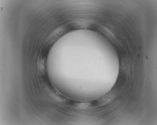 X0000065240122200602242034