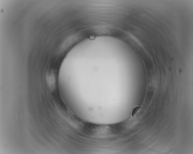 X0000065240124200602242034