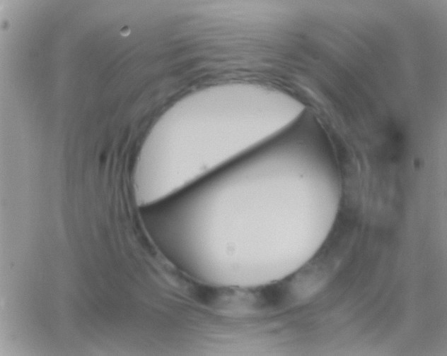 X0000065240125200602242034