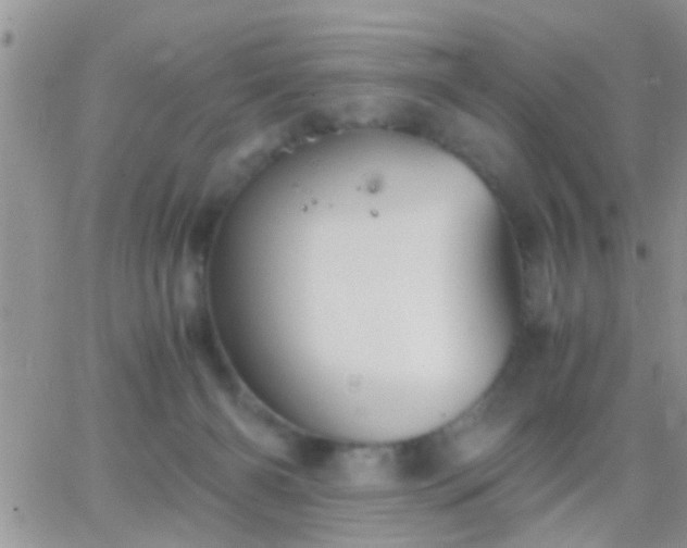 X0000065240126200602242034