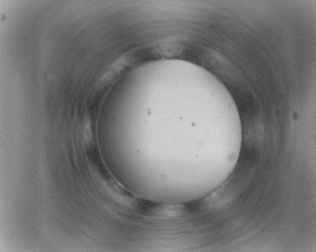 X0000065240128200602242034