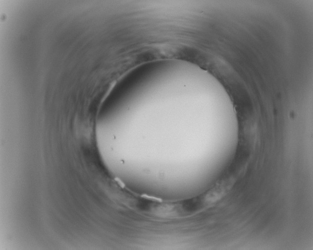 X0000065240129200602242034