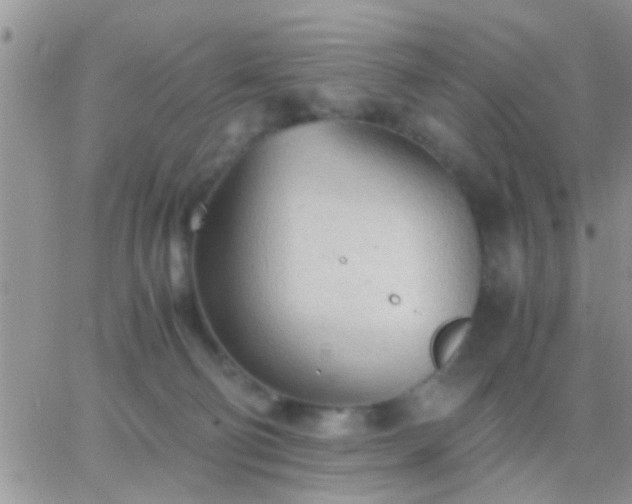 X0000065240130200602242034