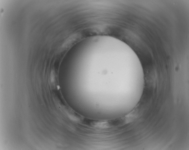 X0000065240132200602242034