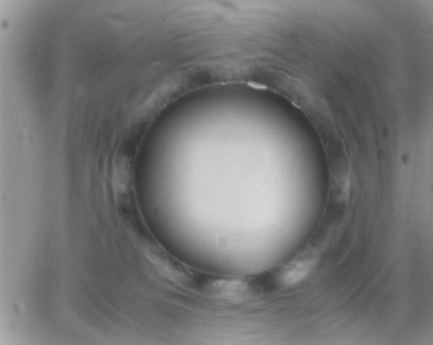 X0000065240133200602242034