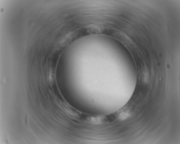 X0000065240134200602242034