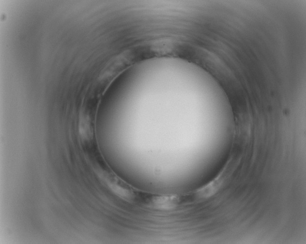 X0000065240136200602242034