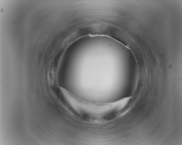 X0000065240137200602242034