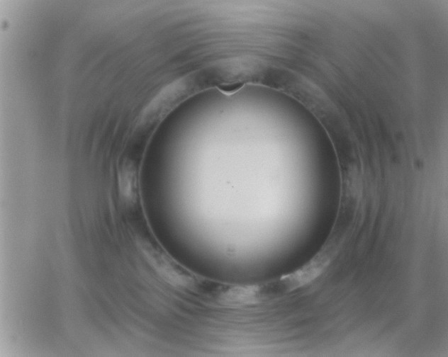 X0000065240138200602242034