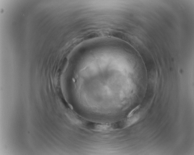 X0000065240139200602242034