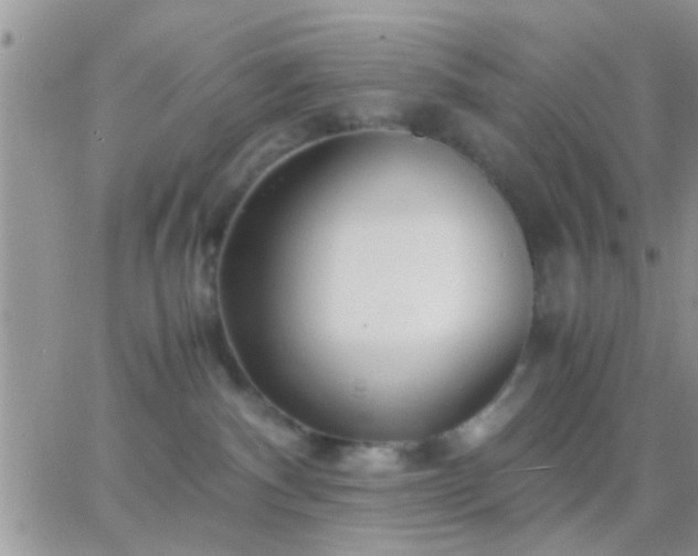 X0000065240140200602242034